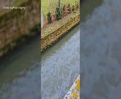 A suspected oil spill has been spotted in the River Stour in Canterbury.
