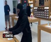 A masked robber burgled an Apple store and stole over 40 iPhones - while a police car was parked outside.&#60;br/&#62;&#60;br/&#62;The video was filmed on February 5 by a bystander on Bay St in Emeryville, California, USA. &#60;br/&#62;&#60;br/&#62;The thief can be seen ripping over 40 iPhones from their charging cables before stuffing them down his trousers.&#60;br/&#62;&#60;br/&#62;Bewildered customers watched as the man exited the store - walking past a vehicle from the Emeryville Police Department.