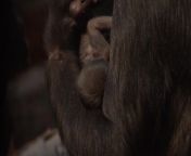 Staff at London Zoo have said they are “over the moon” to have welcomed a second critically endangered baby gorilla in less than a month.The western lowland gorilla baby, whose sex has not been confirmed, was born at 7.44pm on February 8 to mother Effie and was delivered in the gym area of Gorilla Kingdom.
