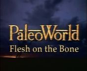 In the summer of 1995, PaleoWorld followed paleontologist Paul Sereno out to the Sahara to dig for dinosaurs. He came back with two remarkable finds: one, an almost complete body, was an entirely new species that had never been seen before. The other, an enormous skull, has proved to be the biggest predatory dinosaur in the world.