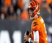 Cincinnati Bengals 2024: Wins and AFC North Challenges from bengal hd xxxx