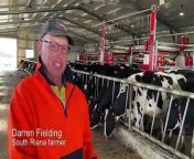 South Riana farmer Darren Fielding explains how the robotic milking machines work. Video By Rodney Woods