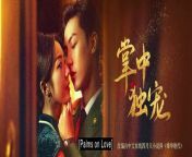 Palms on Love (2024) ep 9 chinese drama eng sub