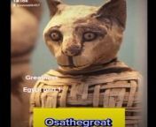 Beauty of Egypt, stars, Ancient Egyptians,,staues,pet cats,cats, mummified,cats,now,and then
