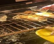 This woman tried to cook fish in the oven using a glass container. Unfortunately, the glass container shattered all over the oven, leaving their dinner in a mess.