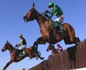It&#39;s almost time for the UK&#39;s biggest four days of racing. People head to the Cotswolds every year to witness one of sport&#39;s great spectacles - the Cheltenham Festival.