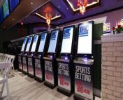 Sports Betting Sees Significant Increase in Revenue from family nudist sports