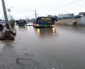 Peshawar BRT bus from bus me bhid me fuck sexani lion