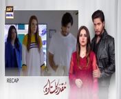Muqaddar Ka Sitara Episode 4 &#124; Arez Ahmed &#124; Fatima Effendi &#124; 27th December 2022 &#124; ARY Digital&#60;br/&#62;&#60;br/&#62;Muqaddar Ka Sitara &#124; Is Marriage The Solution For Every Problem?&#60;br/&#62;&#60;br/&#62;The story starts when Safdar, a Pakistani-American well-settled man, gets his spoiled son married to his friend’s well-educated daughter, Hadiya. Now, Hadiya gets to face difficult times in her life. The drama will also expose the way society behaves in such circumstances.&#60;br/&#62;&#60;br/&#62;Written By: Sadia Akhtar&#60;br/&#62;&#60;br/&#62;Directed By: Saqib Zafar Khan&#60;br/&#62;&#60;br/&#62;Cast:&#60;br/&#62;Arez Ahmed&#60;br/&#62;Fatima Effendi&#60;br/&#62;Inayat khan&#60;br/&#62;Babar Ali&#60;br/&#62;Nadia Khan&#60;br/&#62;Salma Hassan&#60;br/&#62;Sajeer Uddin&#60;br/&#62;Laiba Khan&#60;br/&#62;Rimsha Ahmed&#60;br/&#62;Shaista Jabeen&#60;br/&#62;Tania Hussain&#60;br/&#62;&#60;br/&#62;Timing :&#60;br/&#62;Muqaddar ka Sitara Daily at 7 : 00 PM@ARYDigitalasia&#60;br/&#62;&#60;br/&#62;#MuqaddarKaSitara #arezahmed #fatimaeffendi #arydigital #babarali &#60;br/&#62;&#60;br/&#62;The most watched and loved Pakistani Entertainment channel is now on SoundCloud! Follow us here and listen to your favorite OSTs now! ?&#60;br/&#62;&#60;br/&#62; / arydigitalhd&#60;br/&#62;&#60;br/&#62;Pakistani Drama Industry&#39;s biggest Platform, ARY Digital, is the Hub of exceptional and uninterrupted entertainment. You can watch quality dramas with relatable stories, Original Sound Tracks, Telefilms, and a lot more impressive content in HD. Subscribe to the YouTube channel of ARY Digital to be entertained by the content you always wanted to watch.