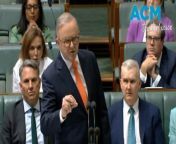 Prime Minister Anthony Albanese has slammed a Coalition question about the Australian Ambassador to the US, Kevin Rudd, during parliamentary question time.