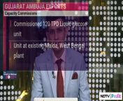 CMD Of Gujarat Ambuja Exports Limited Reveals Growth Outlook For FY25 | NDTV Profit from milk of growth giantess growth animation