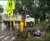 Storm Andrea&#39;s strong winds and heavy rains helped topple trees across Central Florida.
