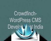 http://www.slideshare.net/crowdfinch&#60;br/&#62;Do you have a word press theme but you are too busy to yank it? You have a WP theme that is yet to be modified? Do you want a professional touch to your website? Then CrowdFinch WordPress theme customization is right for you. We build you websites the way you want.