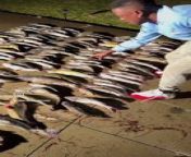 Boosie seems like he can do almost anything. This time, he went fishing, and got 126 fish.