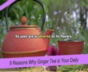 8 Reasons Why Ginger Tea is Your Daily Healing E from strep teas