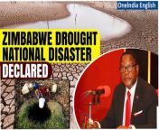 Zimbabwe declares a national disaster due to a crippling drought, seeking &#36;2 billion in aid. President Mnangagwa blames El-Nino for the crisis. The region faces one of its worst dry spells in decades, with millions in need of food relief. Zambia and Malawi also declare disasters, highlighting the dire situation across southern Africa. &#60;br/&#62; &#60;br/&#62;#Zimbabwe #ElNino #Zambia #Malawi #Africanews #Africa #SouthAfrica #Drought #Africaupdates #Zimbabwenews #WorldNews #Oneindia #Oneindianews &#60;br/&#62;~HT.99~PR.152~ED.155~