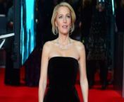 Gillian Anderson has admitted she should have &#92;