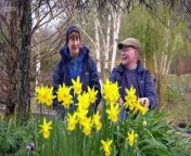 The Beechgrove Garden 2024 episode 1 - As winter&#39;s chill thaws and gives way to the vibrant renewal of spring, our gardens awaken from their slumber, heralding the much-anticipated return of &#92;