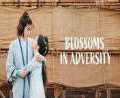 Blossoms in Adversity - Episode 26 (EngSub)