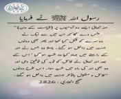 #hadees #dailyhadees #hadith #hadis #dailyblink #islamicstatus #islamicshorts #shorts #trending #daily #ytshorts #hadeessharif &#60;br/&#62;&#60;br/&#62;Disclaimer:&#60;br/&#62;The content presented in our daily Hadith (Hadees) videos is intended solely for educational purposes. These videos aim to provide information about Islamic teachings, traditions, and sayings of Prophet Muhammad (peace be upon him). The content is not intended to endorse any particular interpretation or perspective, and viewers are encouraged to seek guidance from understanding of Islamic teachings. We strive to present authentic and accurate information, but viewers are advised to verify the content independently. The channel is not responsible for any misuse or misinterpretation of the information provided. We promote a spirit of learning, tolerance, and understanding in the pursuit of knowledge.&#60;br/&#62;&#60;br/&#62;Today&#39;s Hadith:&#60;br/&#62;&#60;br/&#62;Narrated Abu Huraira:&#60;br/&#62;&#60;br/&#62;Allah&#39;s Messenger (ﷺ) said, &#92;