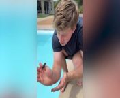 Robert Irwin saves tiny mouse from drowning in swimming pool: ‘Your father would be proud’ from swimming pool naked boy