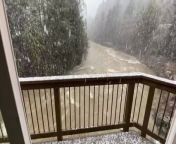 While it snowed heavily in Tillamook, Oregon, a woman filmed it from her house. She showed the stunning view from her place which comprised of a river surrounded by trees and heavy snowfall. As beautiful as the scene looked, it could be dangerous in some areas, therefore, the woman sent well wishes to others to stay safe.