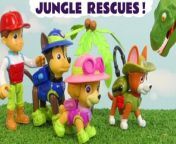 The toy Paw Patrol sometimes venture in to the jungle to rescue dinosaurs with the jungle pup Tracker. These are some of the fun stories which usually involve the Funlings as well.&#60;br/&#62;&#60;br/&#62;SUBSCRIBE TO US ON DAILYMOTION FOR REGULAR NEW TOY STORIES&#60;br/&#62;&#60;br/&#62;* CHECK OUT NEW FUNLINGS WEBSITE&#60;br/&#62;&#62; The Funlings Website&#60;br/&#62;https://www.funlings.co.uk/&#60;br/&#62;&#60;br/&#62;&#60;br/&#62;&#62; Toys:&#60;br/&#62;https://funlingsstore.etsy.com&#60;br/&#62;&#60;br/&#62;&#60;br/&#62;* OTHER PLACES TO FIND US&#60;br/&#62;&#62; YouTube:&#60;br/&#62;https://www.youtube.com/c/Toytrains4uCoUk&#60;br/&#62;&#62; Facebook:&#60;br/&#62;https://www.facebook.com/ToyTrains4u/&#60;br/&#62;&#62; Twitter:&#60;br/&#62;https://twitter.com/toytrains4u&#60;br/&#62;