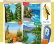 Dinosaur Train Backyard Theropods Cartoon Animation PBS Kids Game Play Walkthrough [Full E from wip animation