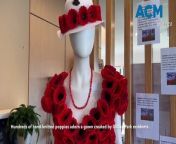 Gillin Park Community red poppy dress | Warrnambool Staqndard 2024 from poppy playtimer