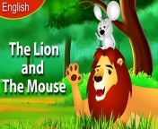 The Lion and the Mouse in English | English Fairy Tales from jzixiberian mouse lc