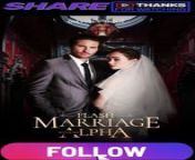 flash marriage with my alpha PART 1 | Full Movie 2024 #drama #drama2024 #dramamovies #dramafilm #Trending #Viral from film drama sex