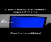 L your hardware vendor support meme from saxe l