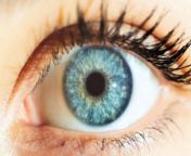 The Health of Your Eyes Can Indicate , True Biological Age, Study Shows.&#60;br/&#62;You may have heard the phrase, &#60;br/&#62;&#92;