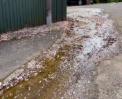 9 months after the leak was first reported in Tavistock Close, residents say it&#39;s like having a river outside their homes.