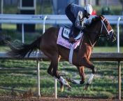 Leslie's Rose Aims to Overcome Tough Post in Oaks Race from scarlett m rose hot