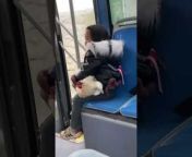 This little girl was traveling by bus with her pet chicken. The little girl smiled as the chicken rested on her lap.