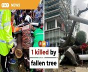 The incident trapped several cars and damaged a bus stop along Jalan Sultan Ismail.&#60;br/&#62;&#60;br/&#62;Read More: &#60;br/&#62;https://www.freemalaysiatoday.com/category/nation/2024/05/07/1-killed-in-fallen-tree-incident-in-downtown-kl/&#60;br/&#62;&#60;br/&#62;Laporan Lanjut: &#60;br/&#62;https://www.freemalaysiatoday.com/category/bahasa/tempatan/2024/05/07/1-maut-dihempap-pokok-tumbang/&#60;br/&#62;&#60;br/&#62;Free Malaysia Today is an independent, bi-lingual news portal with a focus on Malaysian current affairs.&#60;br/&#62;&#60;br/&#62;Subscribe to our channel - http://bit.ly/2Qo08ry&#60;br/&#62;------------------------------------------------------------------------------------------------------------------------------------------------------&#60;br/&#62;Check us out at https://www.freemalaysiatoday.com&#60;br/&#62;Follow FMT on Facebook: https://bit.ly/49JJoo5&#60;br/&#62;Follow FMT on Dailymotion: https://bit.ly/2WGITHM&#60;br/&#62;Follow FMT on X: https://bit.ly/48zARSW &#60;br/&#62;Follow FMT on Instagram: https://bit.ly/48Cq76h&#60;br/&#62;Follow FMT on TikTok : https://bit.ly/3uKuQFp&#60;br/&#62;Follow FMT Berita on TikTok: https://bit.ly/48vpnQG &#60;br/&#62;Follow FMT Telegram - https://bit.ly/42VyzMX&#60;br/&#62;Follow FMT LinkedIn - https://bit.ly/42YytEb&#60;br/&#62;Follow FMT Lifestyle on Instagram: https://bit.ly/42WrsUj&#60;br/&#62;Follow FMT on WhatsApp: https://bit.ly/49GMbxW &#60;br/&#62;------------------------------------------------------------------------------------------------------------------------------------------------------&#60;br/&#62;Download FMT News App:&#60;br/&#62;Google Play – http://bit.ly/2YSuV46&#60;br/&#62;App Store – https://apple.co/2HNH7gZ&#60;br/&#62;Huawei AppGallery - https://bit.ly/2D2OpNP&#60;br/&#62;&#60;br/&#62;#FMTNews #TreeFall #JalanSultanIsmail #KualaLumpur #Monorail