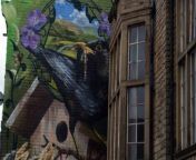 “Banksy is graffiti in comparison” to new blackbird street art mural near Walkley Library, Sheffield