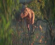 Episode #1 -In the quiet dawn of the Jurassic marsh, we find Rexy on a serene morning walk with his Mama and Papa. Little did he know that this peaceful start would swiftly transform into a perilous encounter with a giant Python. Yet, this was merely the prologue to Rexy&#39;s most extraordinary day.&#60;br/&#62;As the sun climbed higher in the sky, an unexpected calamity unfolded. A relentless horde of angry Pteranodon birds struck down and took Rexy up to the skies, away from his parents. Who would come to his rescue in this dire moment of need?&#60;br/&#62;Amidst the chaos, a ray of hope emerged. The benevolent giant Arambourgiana, touched by Rexy&#39;s plight, stepped forward as the unlikely savior. Could a tiny T-Rex fly up to the heights of the Moon and cheat the hungry birds for good? Watch this episode, cheer for this adorable and brave little T-Rex and marvel at the exotic Dinosaurs he meets along his journey!&#60;br/&#62;&#60;br/&#62;This short animation is presented in spectacular 4K-30 Fps video format optimized for the latest High Quality HDR Displays: Mobile, Tablet and TV.&#60;br/&#62;Filmmakers:&#60;br/&#62;Adam Magyar&#60;br/&#62;Producer / Director / General Technical Artist&#60;br/&#62;StoryBoard / Concept Art / Environment Design / Matte Painting&#60;br/&#62;Modeling / Texturing / Shading / Rigging / Animation / Simulation&#60;br/&#62;Camera / Lighting / Rendering / Compositing / Stereography&#60;br/&#62;Post Production / Color Grading / Editing / Typography / Title&#60;br/&#62;Music Editor / Voice Over Actor / VO &amp; Sound FX Director &#60;br/&#62;System Administrator / Hardware &amp; Software Manager&#60;br/&#62;&#60;br/&#62;Peter Borszeki&#60;br/&#62;Executive Producer / Assistant to Director / Production Manager&#60;br/&#62;Render Manager / Compositing Editor / Voice Over Editor&#60;br/&#62;Photogrammetry / 3D Scanner Operator / Asset Manager&#60;br/&#62;Project Communication / PR Coordination&#60;br/&#62;&#60;br/&#62;Judit Kelemen&#60;br/&#62;Art Concept &amp; Color Grading Advisor / Office Manager&#60;br/&#62;&#60;br/&#62;Special thanks to&#60;br/&#62;Denis Nechipurenko for the Sound Effects&#60;br/&#62;Lili Magyar &amp; Simon Magyar for their support and ideas